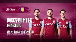 专业意见 专业意见